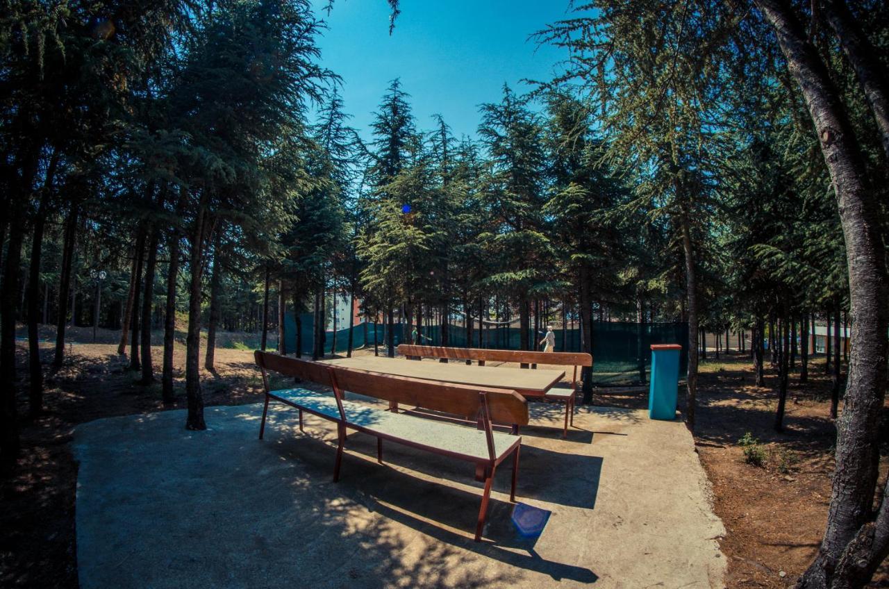 Visit Sunny Beach Sea Apartments 엘레니테 외부 사진